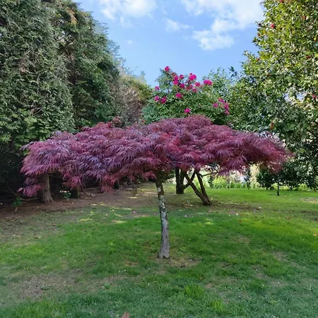 Casa De Agrelos * Penafiel