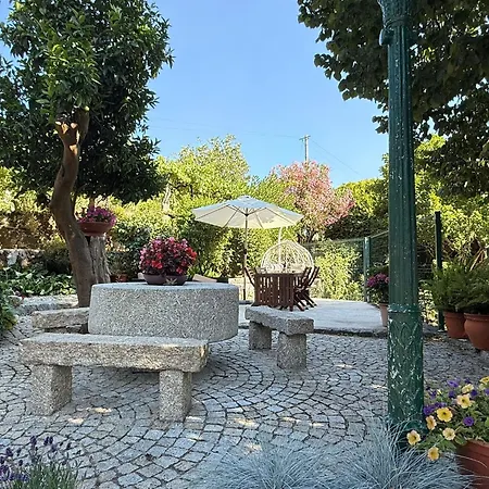 Farm stay Casa De Agrelos Penafiel