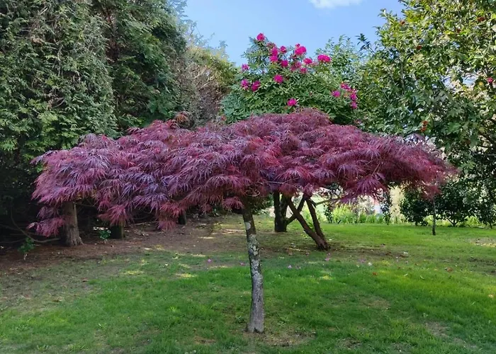 Casa De Agrelos * 佩纳菲耶尔